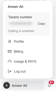 The account menu with Profile, Billing, Usage & PAYG and Log out